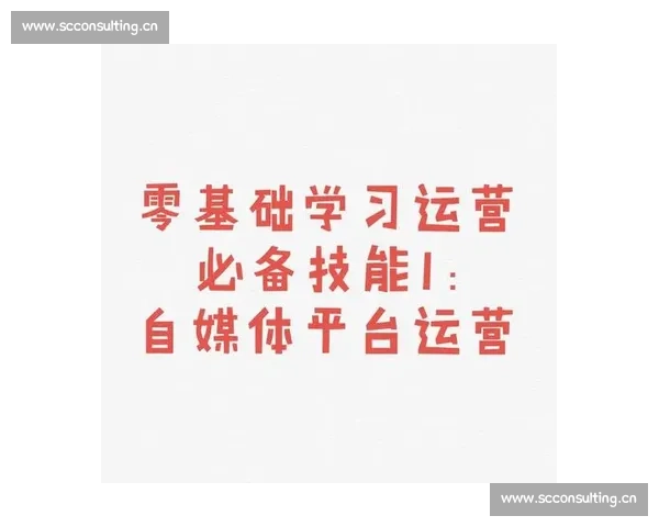 从零开始掌握自媒体运营到精通电子商务全流程实战指南