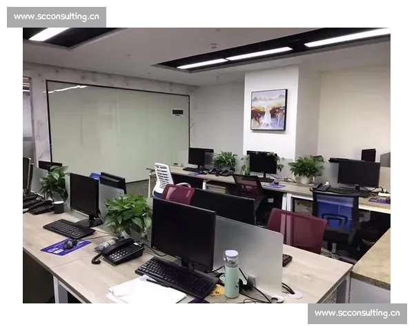 深入解析自媒体运营平均薪资水平及行业发展前景全方位解读深度分析